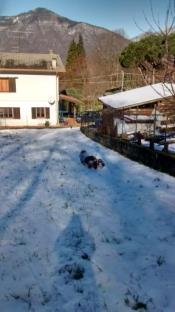 2015-02-08 12.02.47.jpg